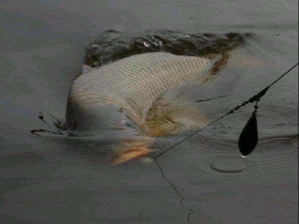 diverse - 57792940272351712581646018689n1.jpg